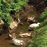 Schlaferhof - Urlaub Am Bauernhof *