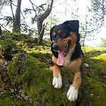 Schlaferhof - Urlaub Am Bauernhof Fresach