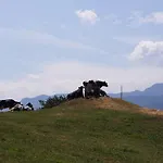Schlaferhof - Urlaub Am Bauernhof Apartman Fresach