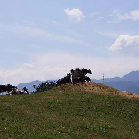 Schlaferhof - Urlaub Am Bauernhof Διαμέρισμα Fresach
