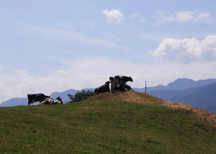 Schlaferhof - Urlaub Am Bauernhof Lejlighed Fresach