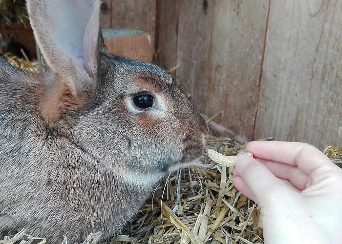 Appartement Schlaferhof - Urlaub Am Bauernhof Fresach